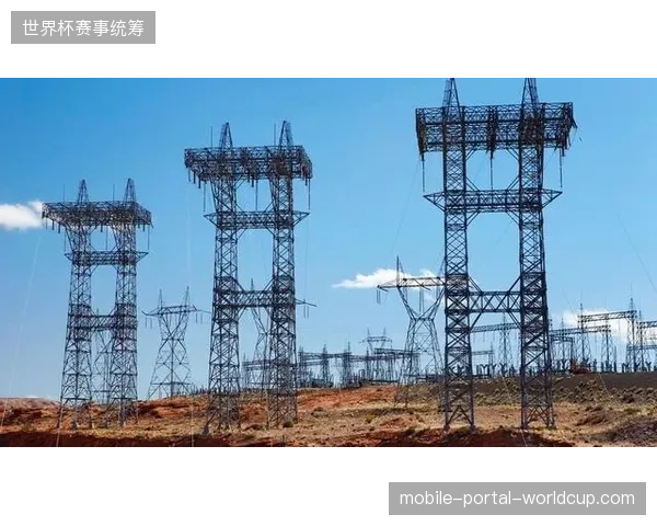 大型赛事场馆入场标准协议执行僵化，导致基础设施建设在关键建设期面临停滞风险